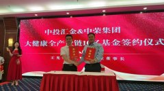 晶采观察丨龙舟“划”出